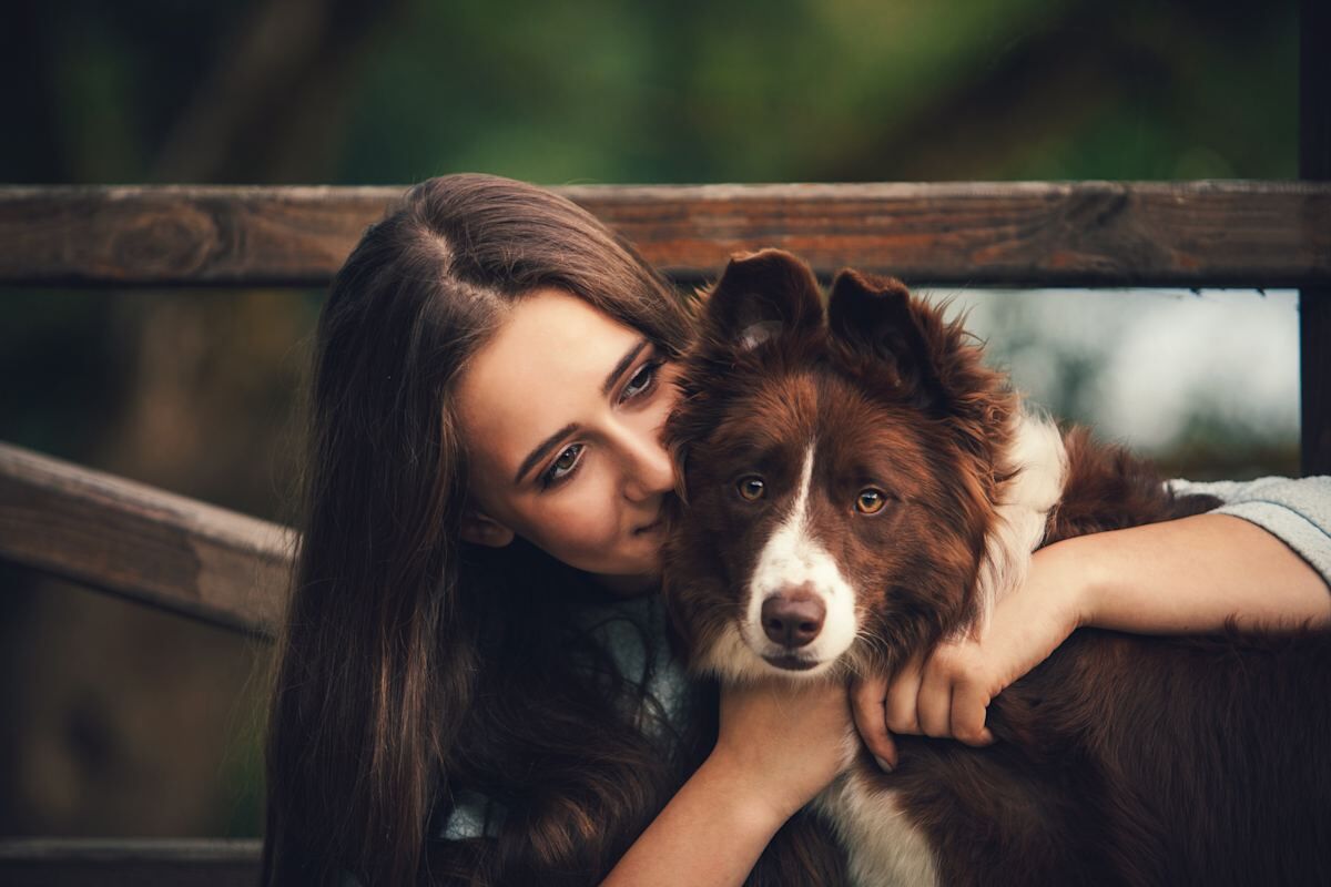 Dog greeting its person at the gate