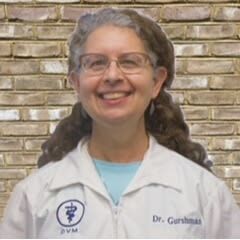 Dr. Rebecca Gurshman