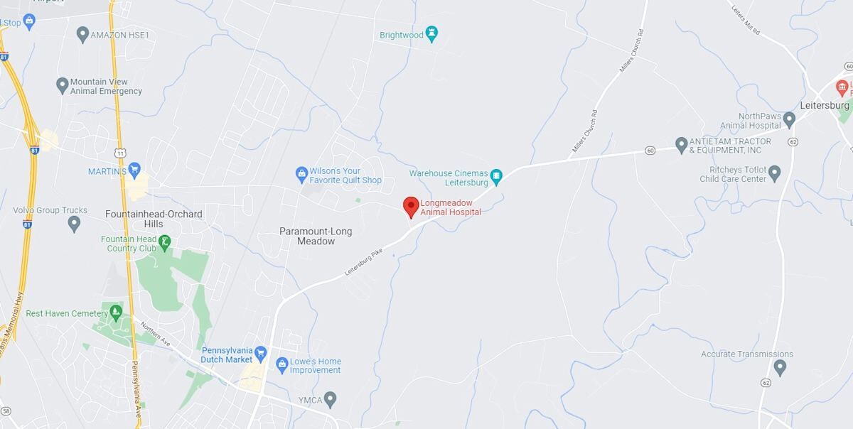 Map showing Longmeadow Animal Hospital location